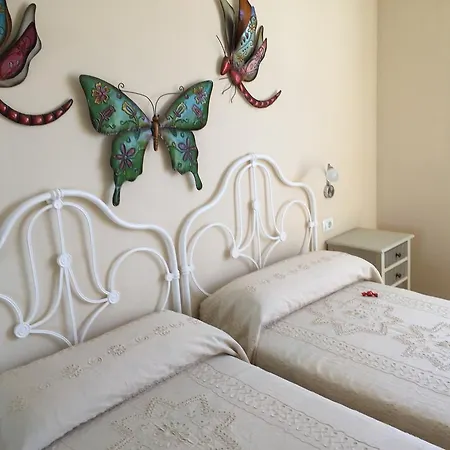 Daire Danmi Y Janet *